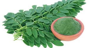 Moringa Powder/মরিঙ্গা পাউডার (৫০০ গ্রাম)